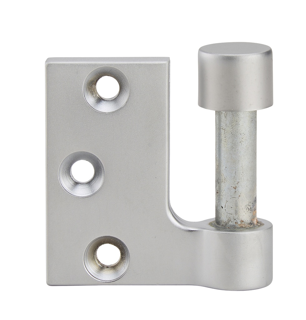 [3204.31.0] Fiche à entailler Lagune réversible pour huisseries bois, s’utilise avec les paumelles 4200 et 4201 - Chromé mat