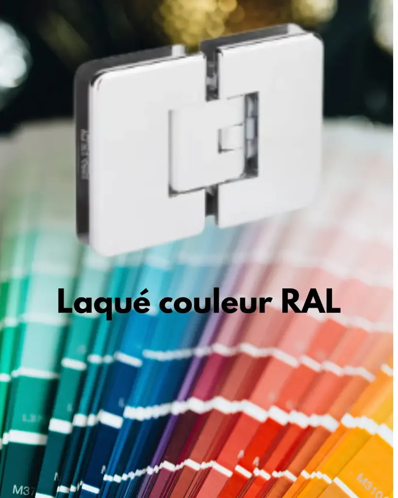 1 charnière double Mélora réglable verre 8/10 et 12 mm  - Laqué couleur ral