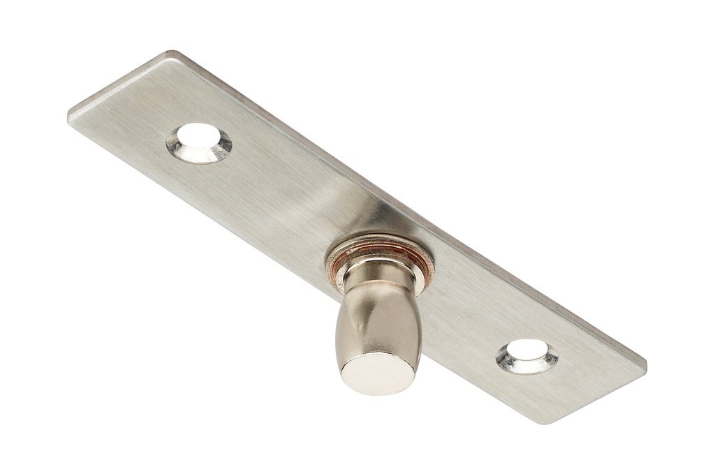 Pivot supérieur pour PF501 - Inox brossé