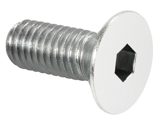 100 vis pour pentures 3272/3273 - Inox poli