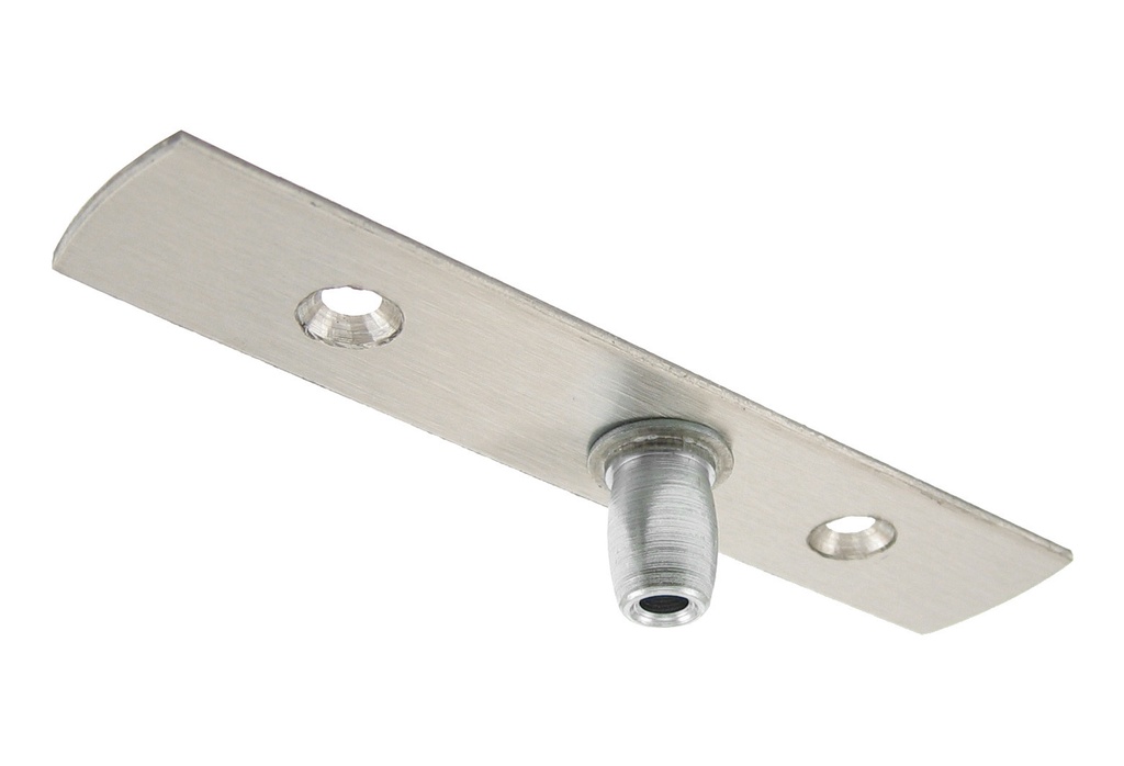 Pivot supérieur pour pentures Elite V501 - Inox brossé