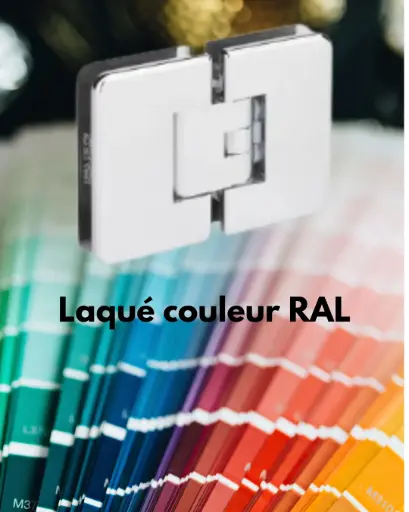 [3562.50.0RCV] 1 charnière double Mélora réglable verre 8/10 et 12 mm  - Laqué couleur ral