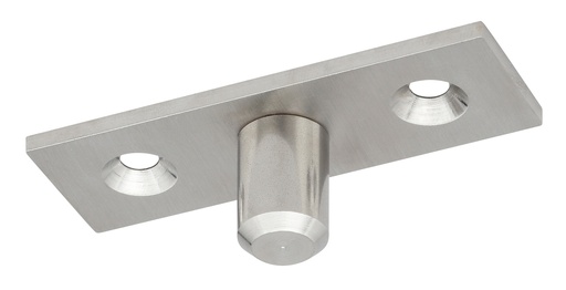 [FRBDS02.99] Pivot haut pour les plinthes types 73-FRP01-FRP02 - 