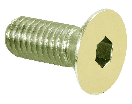 [S171.00.3] 100 vis pour pentures 3272/3273 - Laiton poli