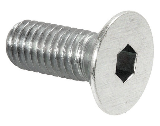 [S171.15.3] 100 vis pour pentures 3272/3273 - Inox brossé
