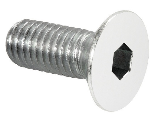 [S171.16.3] 100 vis pour pentures 3272/3273 - Inox poli